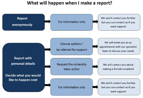 Flowchart of Report and Support reporting process