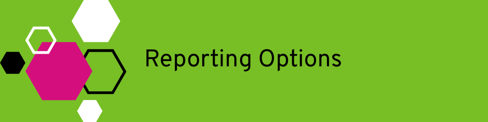 Banner with the title Reporting options