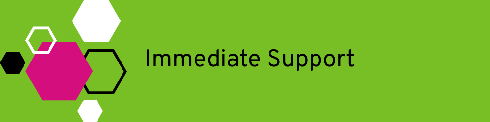 Banner with the title Immediate Support