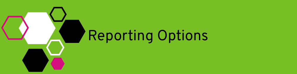 Banner heading: Reporting Options